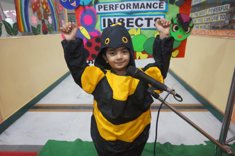 My Performance:Insect