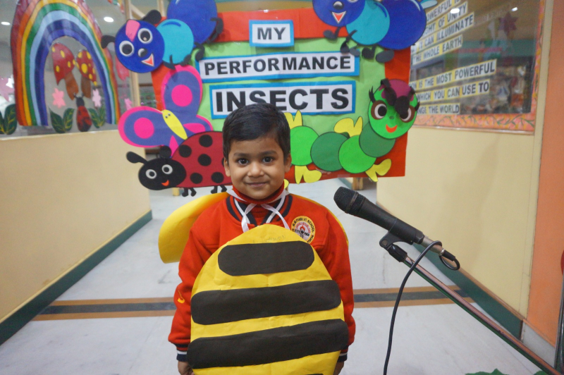 My Performance:Insect