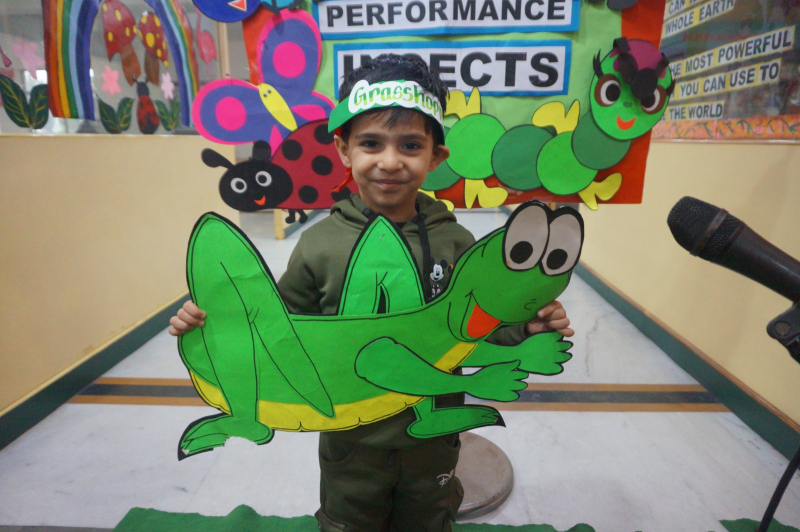 My Performance:Insect