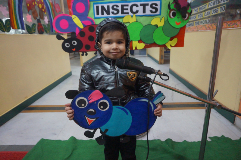 My Performance:Insect
