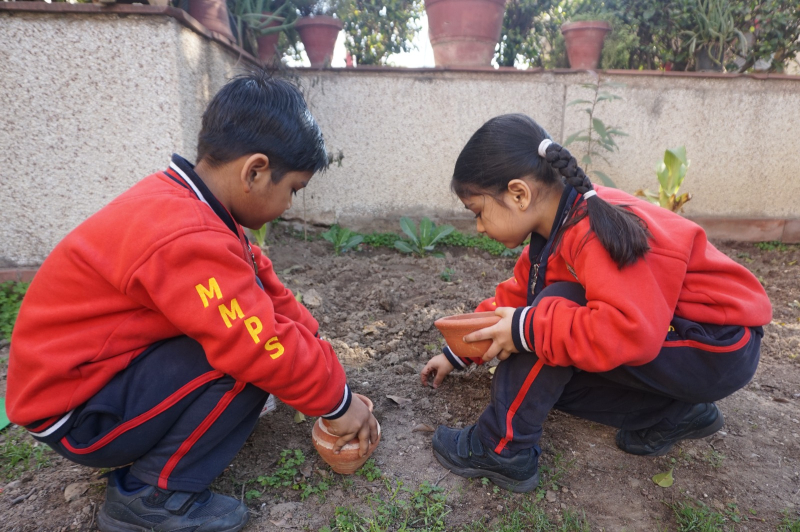 Planting Curiosity: Seed Germination Activity