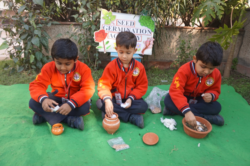 Planting Curiosity: Seed Germination Activity