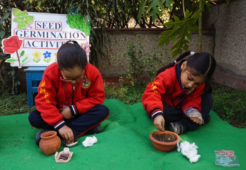 Planting Curiosity: Seed Germination Activity