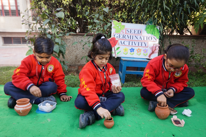 Planting Curiosity: Seed Germination Activity