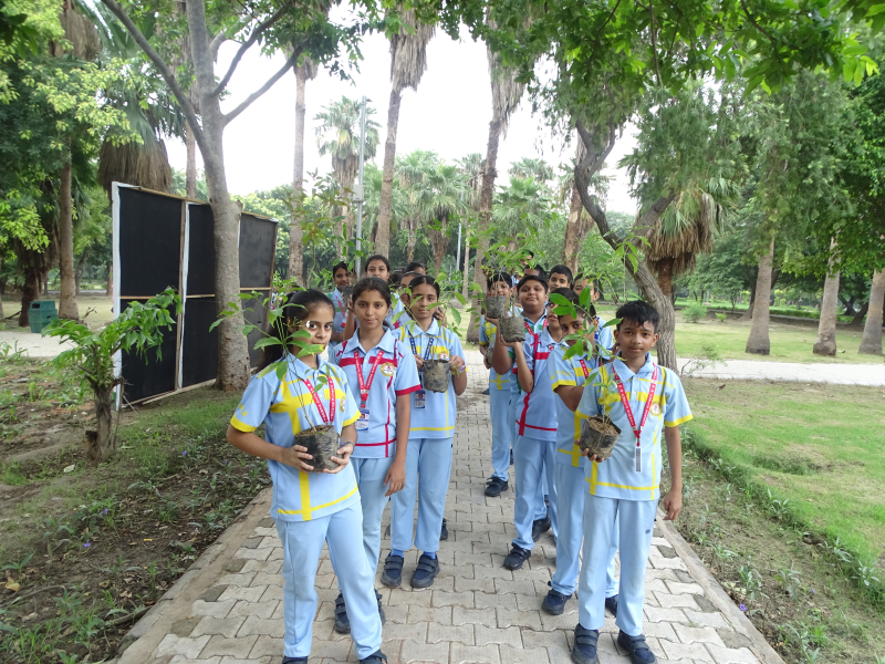Mega Plantation Drive – 