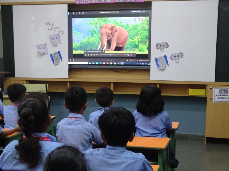 Protect, Preserve, Prosper: World Elephant Day Initiative